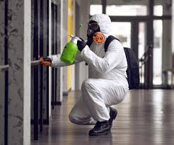 Why You Should Choose Our Mold Remediation Services in Wolfforth, TX